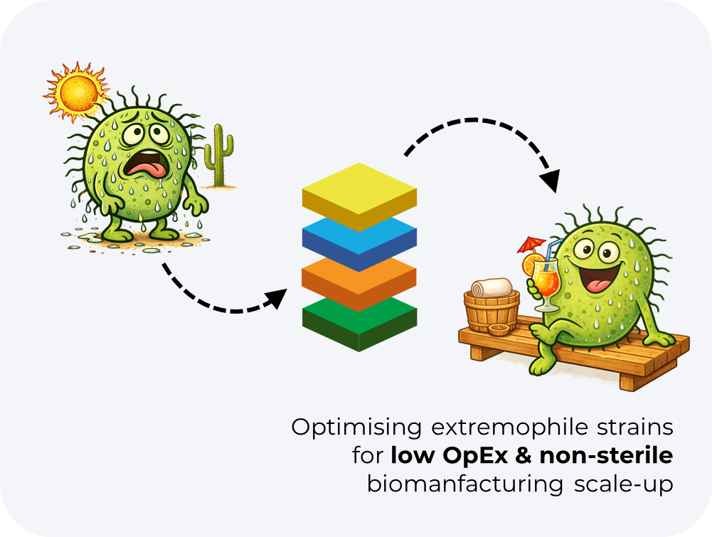 tech stack square (3)